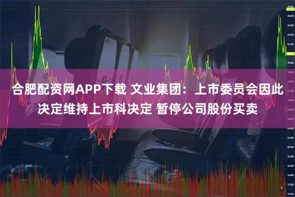 合肥配资网APP下载 文业集团：上市委员会因此决定维持上市科决定 暂停公司股份买卖
