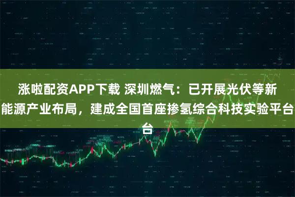 涨啦配资APP下载 深圳燃气：已开展光伏等新能源产业布局，建成全国首座掺氢综合科技实验平台