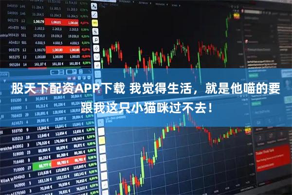 股天下配资APP下载 我觉得生活，就是他喵的要跟我这只小猫咪过不去！